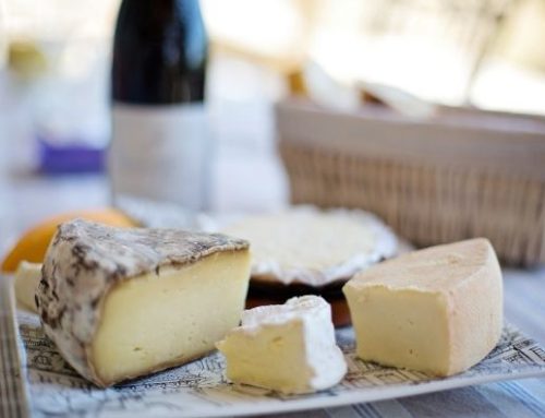 Arriva Bologna Cheese Festival, nuovo evento dedicato ai formaggi (11-12 febbraio)