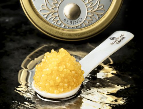 Royal Food Caviar presenta il caviale Albino