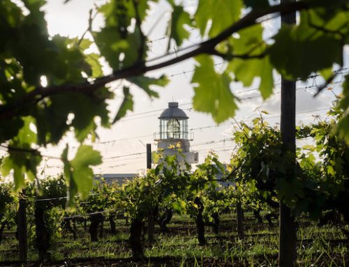 Tasca d’Almerita cede il resort di Capofaro alle Eolie. Mantiene però la proprietà dei vigneti