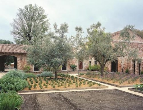 Un nuovo menù al The Gritti Palace a Venezia, ispirato all’opera di recupero dell’Orto Giardino del Redentore