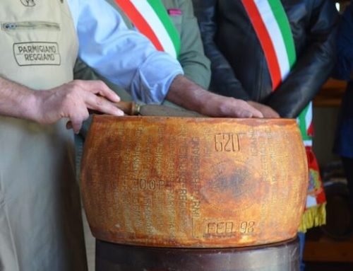 Tagliata forma di Parmigiano Reggiano stagionato oltre 27 anni