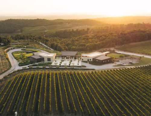 Vallepicciola entra nella compagine societaria di Balan per la distribuzione di vini di qualità