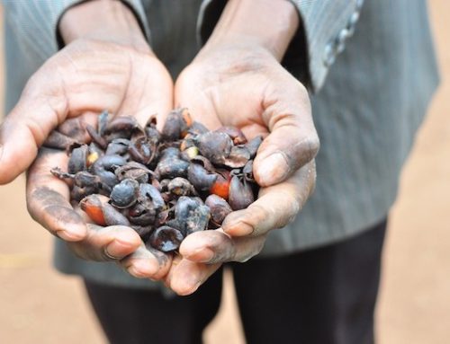 La prossima edizione di Sana, fiera di riferimento per il bio, ospiterà produttori dei presìdi Slow Food