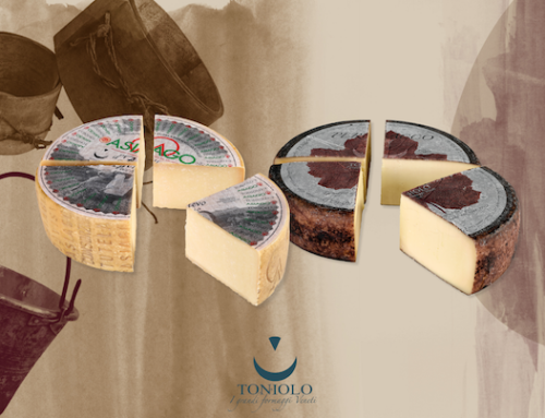 L’Asiago Dop Stagionato Vecchio e il Perbacco di Toniolo Casearia premiati alla 21esima edizione di Caseus Veneti