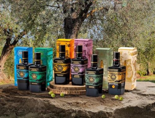 Palazzo di Varignana presenta i frutti della campagna olearia 2025/2026: sei extravergini e un’edizione limitata