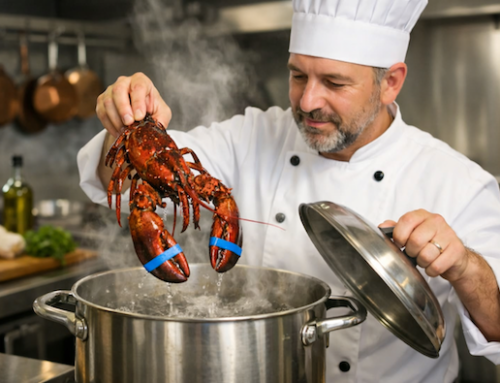 Uk, stop alla bollitura da vivi di crostacei e cefalopodi