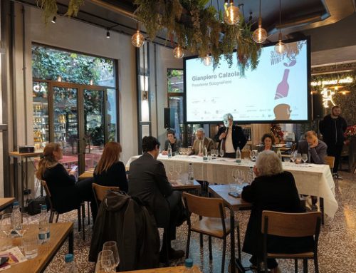 Slow Wine Fair Bologna, presentata l’edizione numero 5 (22-24 febbraio 2026)