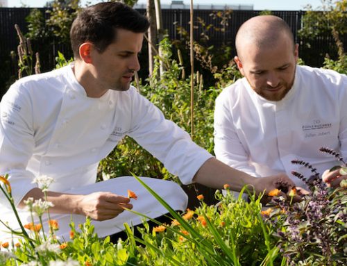 Le tendenze gastronomiche del 2026 secondo l’École Ducasse