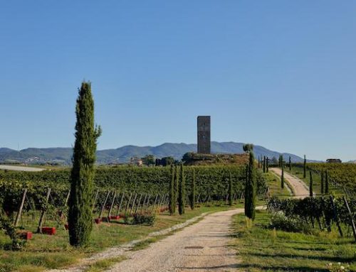 Oniwines sviluppa un percorso di enoturismo