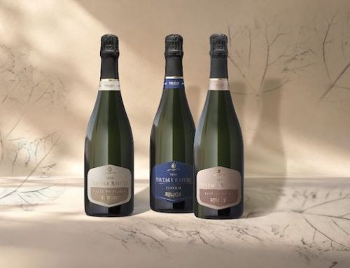 La linea Nature di Berlucchi Franciacorta cambia nome e identità: diventa Vintage Nature