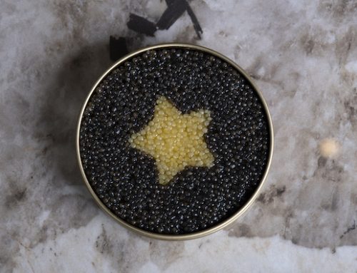 Caviar Giaveri presenta il caviale The Original Star